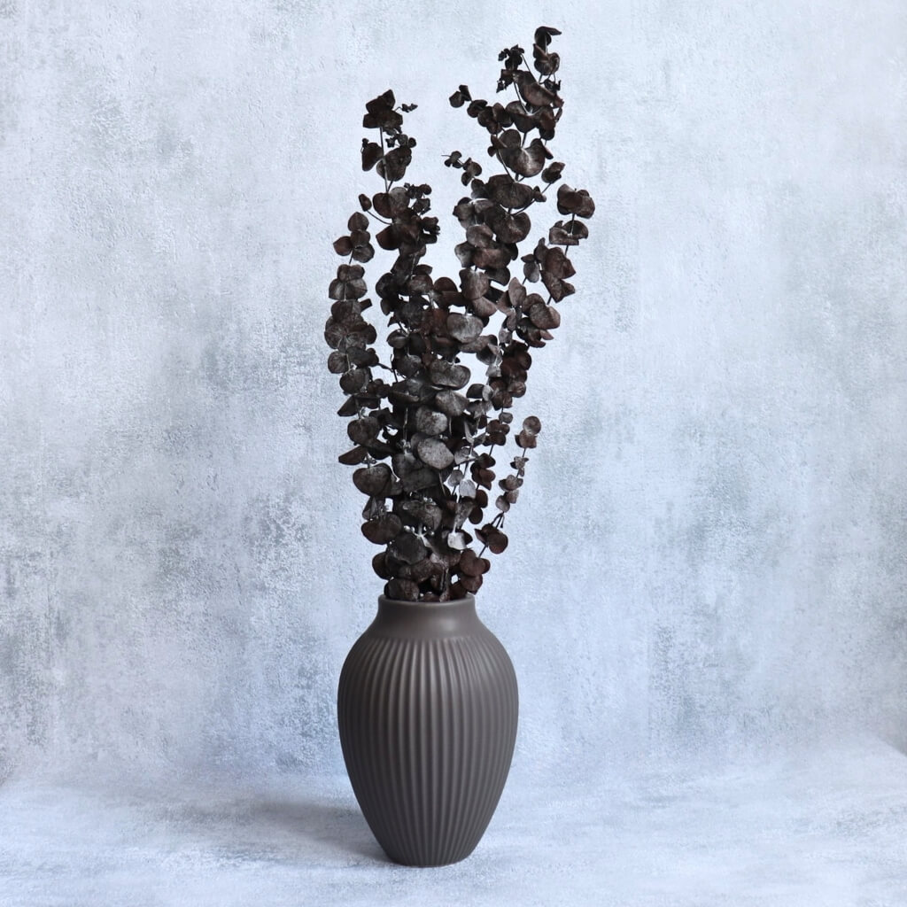 Eucalyptus Baby Blue červený pro moderní svatební a interiérové dekorace